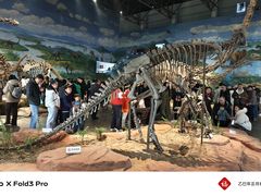 -自贡恐龙博物馆