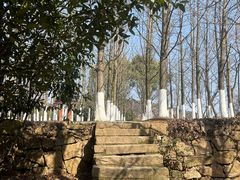 -白马涧龙池景区