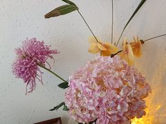 -昼夜咖啡馆