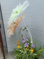 -武汉五洲整形外科医院