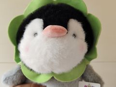 -可爱抓 COCO  GOTCHA(天津鹏欣水游城店)