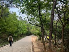 -虞山风景区