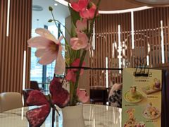 -哈根达斯(SM店)