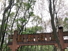 -灵谷景区