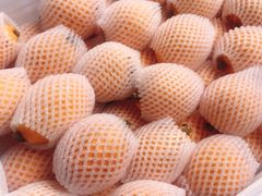 大枇杷-菜园坝水果市场