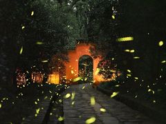 -灵谷景区
