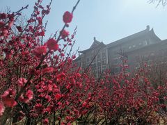 -山东大学(趵突泉校区)
