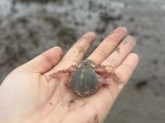 -奉贤海滩