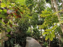 -北京植物园-展览温室