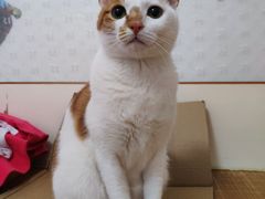 -袖虎宠物(锦绣生态园店)