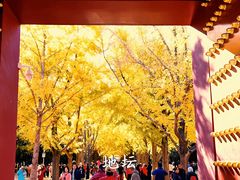 -黑龙潭风景区