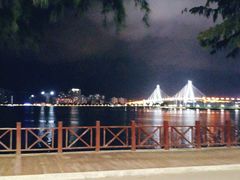 -万绿园