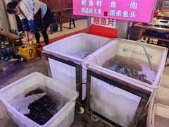 水产区-金海椒罐罐鲢鱼(东方桂苑店)