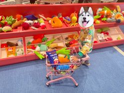 -奈尔宝家庭中心·亲子餐厅(北京东坝万达店)