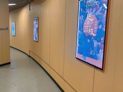 -太平洋激光影城(金沙紫荆店)