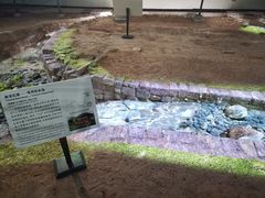 -南越王博物院(王宫展区)