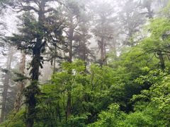 -燕子沟风景区