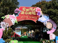 -巨鹏飞梦幻海岸
