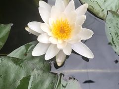 -海窝子古镇