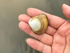 -启东黄金海滩景区