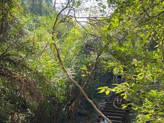 -武夷山风景名胜区-虎啸岩