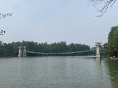 -东湖落雁景区