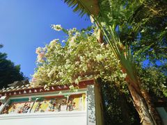 -深圳国际园林花卉博览园