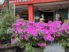 -椒小兔·仔姜鲜椒兔(金沙时代广场店)
