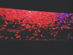 -多彩贵州城极地海洋世界