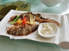 -骏莱海鲜鱼港(五角场店)