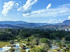 -中国科学院西双版纳热带植物园