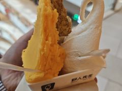 -野人先生现做冰淇淋(北京环宇荟店)