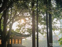 -南宁南湖公园