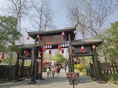 -合肥滨湖国家森林公园