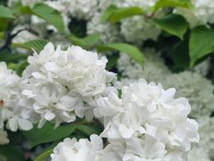-苏州上方山国家森林公园