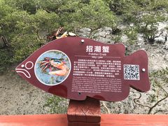 -北海金海湾红树林生态旅游区
