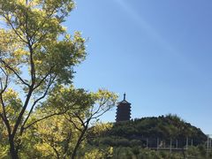 -永定河休闲森林公园