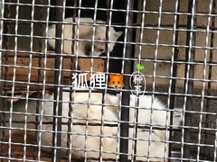 -昆明动物园