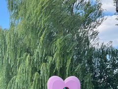 -东台西溪天仙缘景区