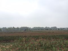 -红山体育乐园