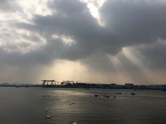 -烟墩角天鹅湖