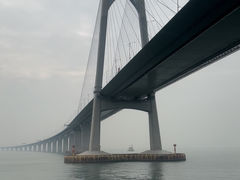 -招商蛇口邮轮母港(观光客运)