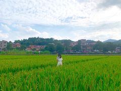 -红山村