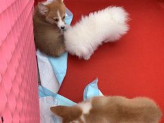 -万达广场(南京江宁店)