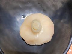 -呷哺呷哺 黄金牧场 (欢乐谷店)