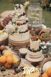 -DNA Wedding 婚礼记(上海店)