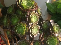 -红山会健身·普拉提(广安门店)