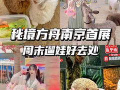 -龙湖南京江北天街