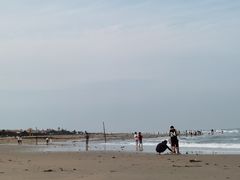 -东海岛旅游度假区