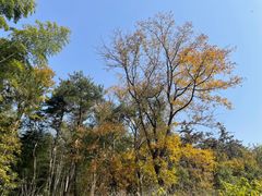 -冶父山国家森林公园